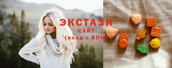 гашик Алексин