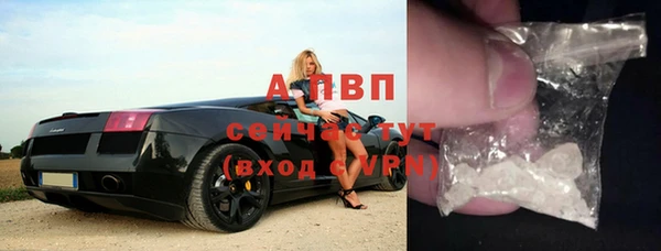 гашик Алексин