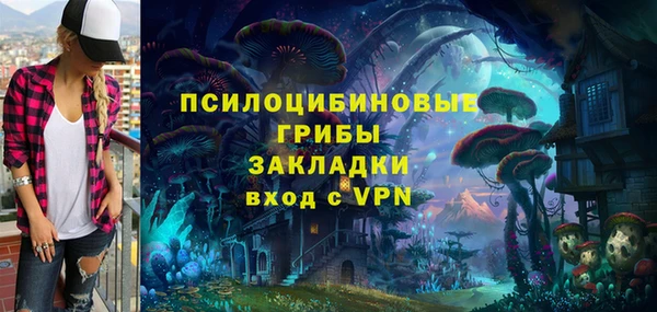 гашик Алексин