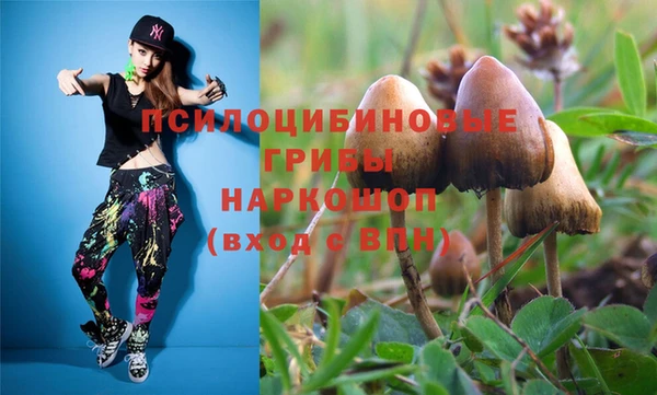 гашик Алексин