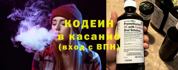 гашик Алексин