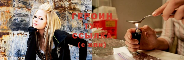гашик Алексин