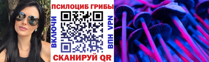 Псилоцибиновые грибы Psilocybine cubensis  где найти   Амурск 