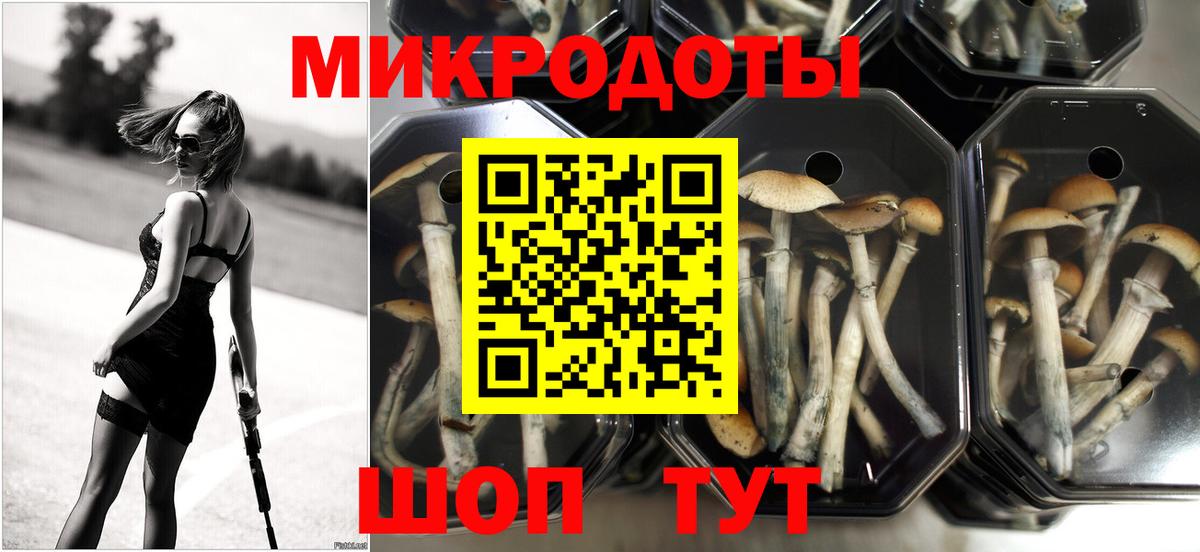 Галлюциногенные грибы MAGIC MUSHROOMS  Вход с VPN  Амурск 