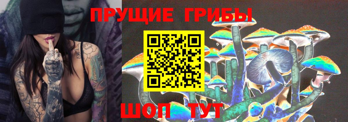 Галлюциногенные грибы ЛСД Амурск